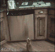 bzyBi.gif