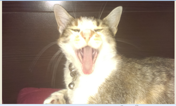 h7ZIWUv.png