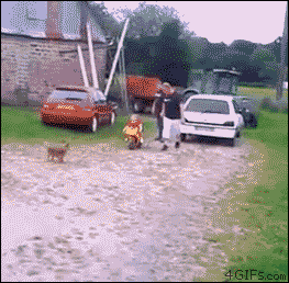 OkACznK.gif