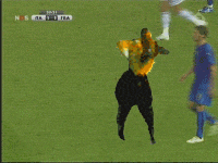 56go0gyed1-1.gif