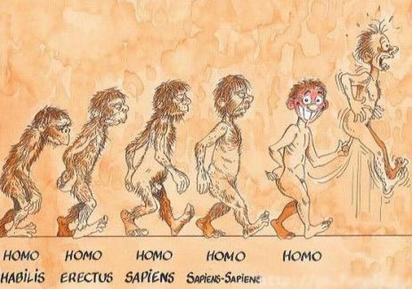 evolution_01.jpg