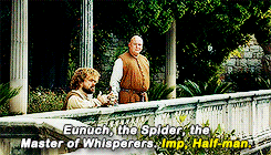 tumblr_nmqw4bfBT31s2791bo8_250.gif