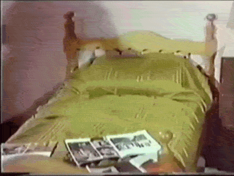 M5DdH.gif
