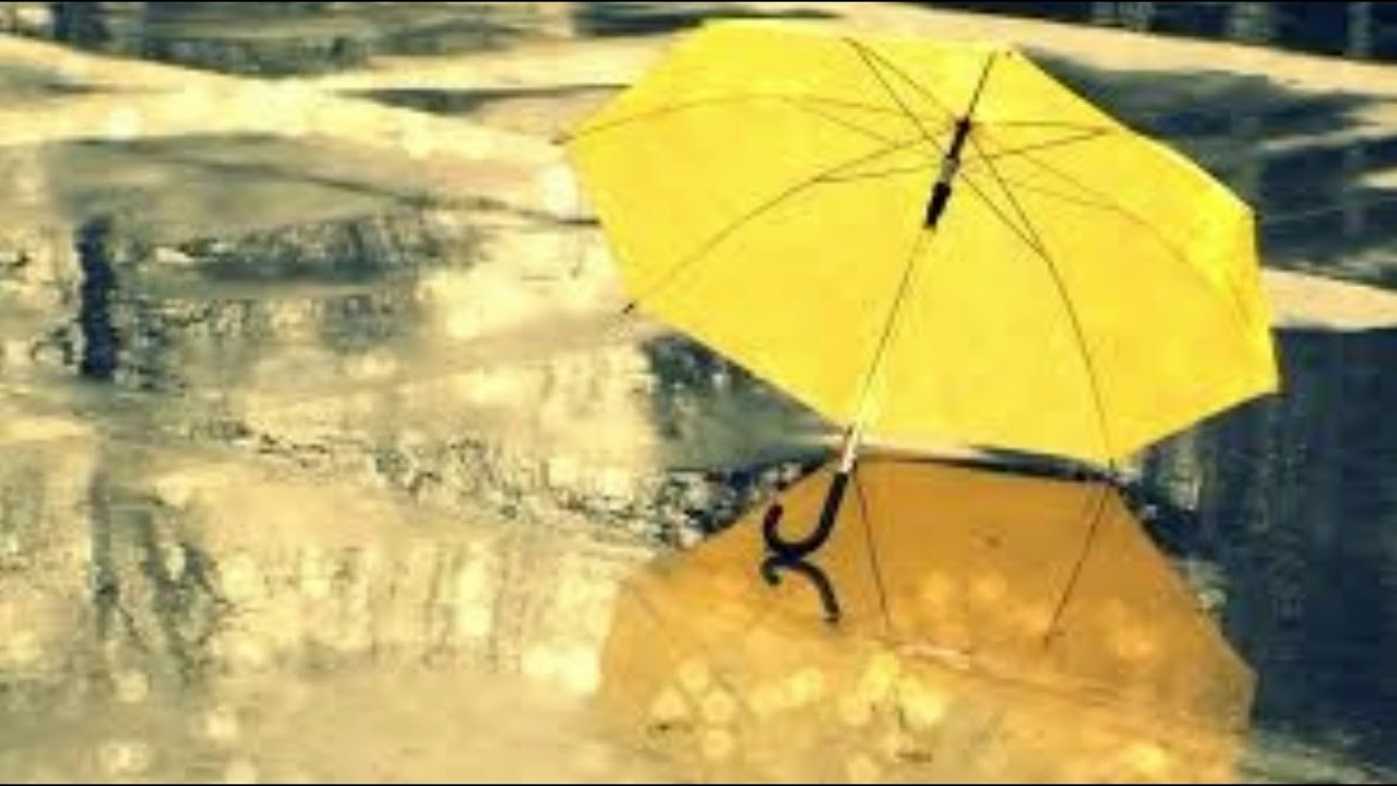 www.youtube.com