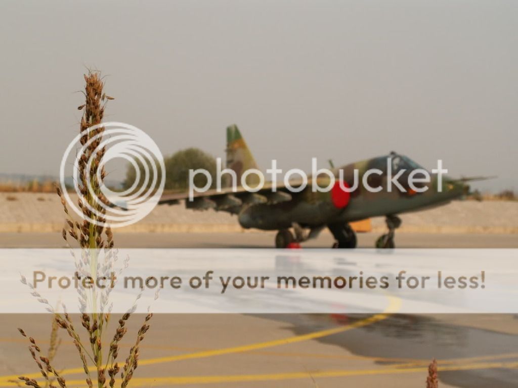 PICT0351_zpss95ahhed.jpg