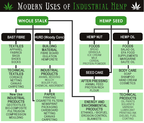 modern-uses-of-industrial-hemp.jpg