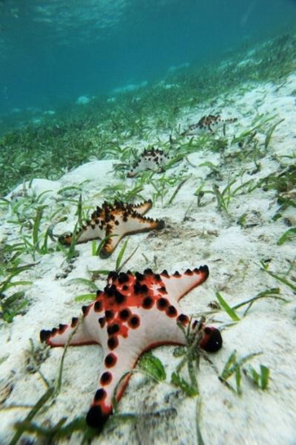 raja-ampat-07.jpg