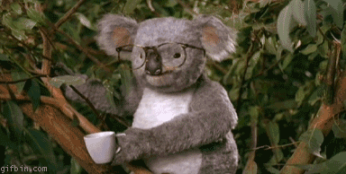 1233905667_79c6318.gif
