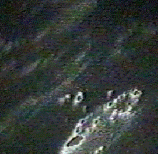 sts802.gif