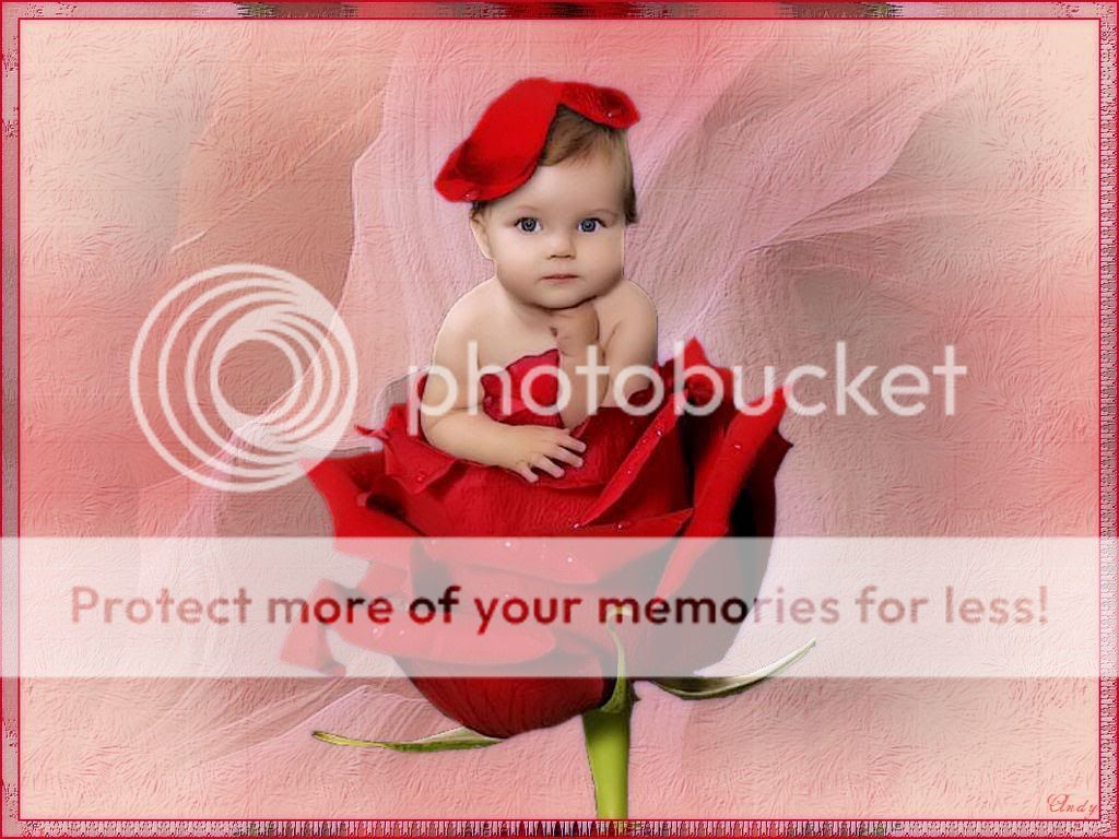 Baby.jpg