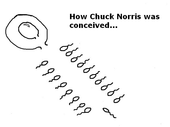 OR9xN.jpg