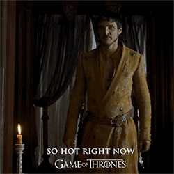 tumblr_n3ndc05q7M1qb6v6ro2_250.gif