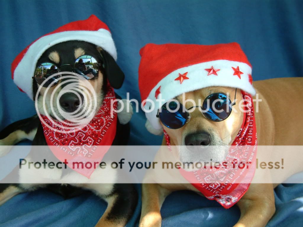 ALBUM0204b.jpg