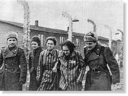 LIBERATION_OF_AUSCHWITZ.gif