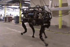tumblr_lryfy7P7JK1qm85kyo2_r1_250.gif
