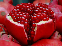pome-seeds.jpg