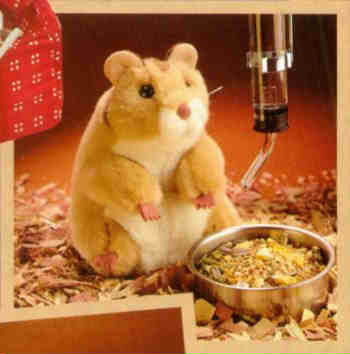 stuffed_hamster.jpg
