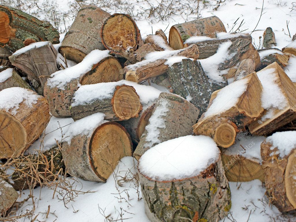 depositphotos_5054802-Pile-of-fire-wood-in-winter..jpg