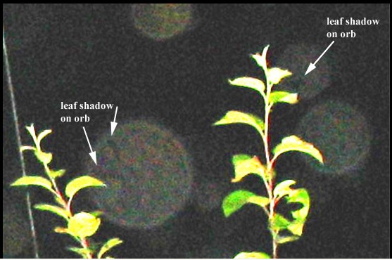 orb-behind.jpg