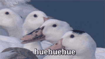 huehuehue GIF huehuehue GIF
