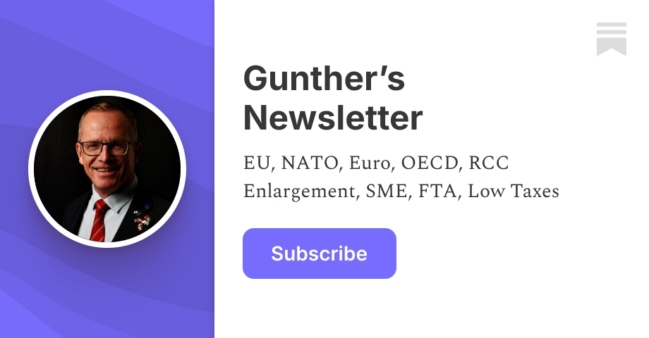 guntherfehlinger.substack.com